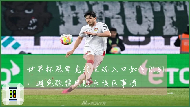 世界杯冠军竞猜正规入口如何识别，避免踩雷风险和误区事项